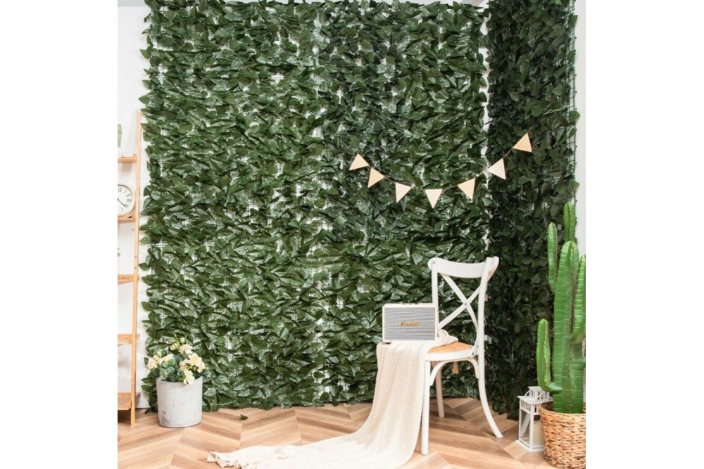 Αναρριχώμενος κισσός με πλέγμα 1x3m.