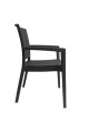 Πολυθρόνα πλαστική τύπου Rattan Artemis Professional Ανθρακί