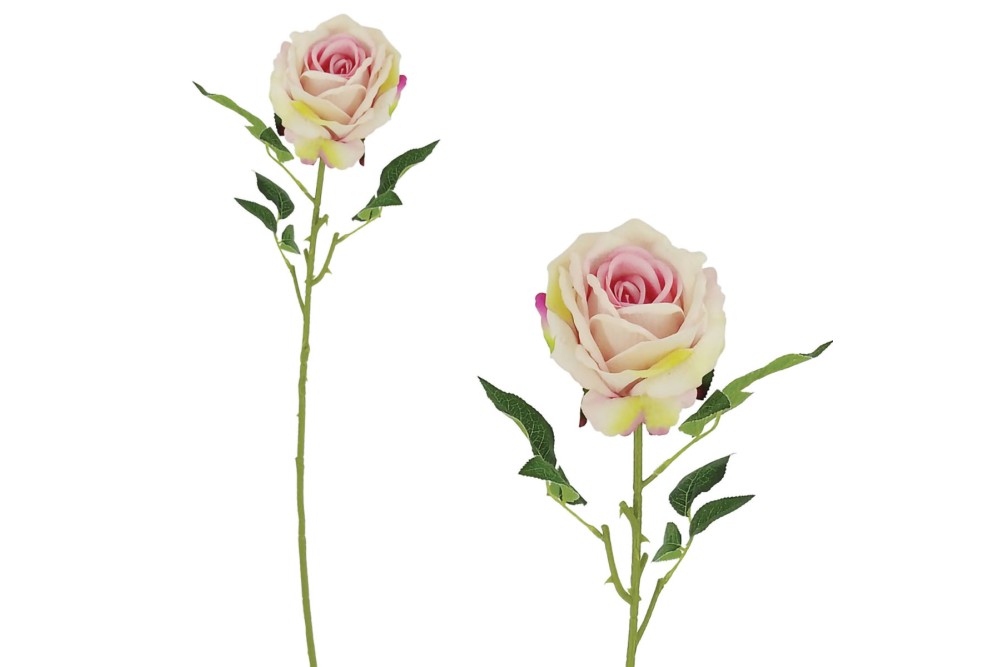 Κλαδί Τριαντάφυλλο Ροζ