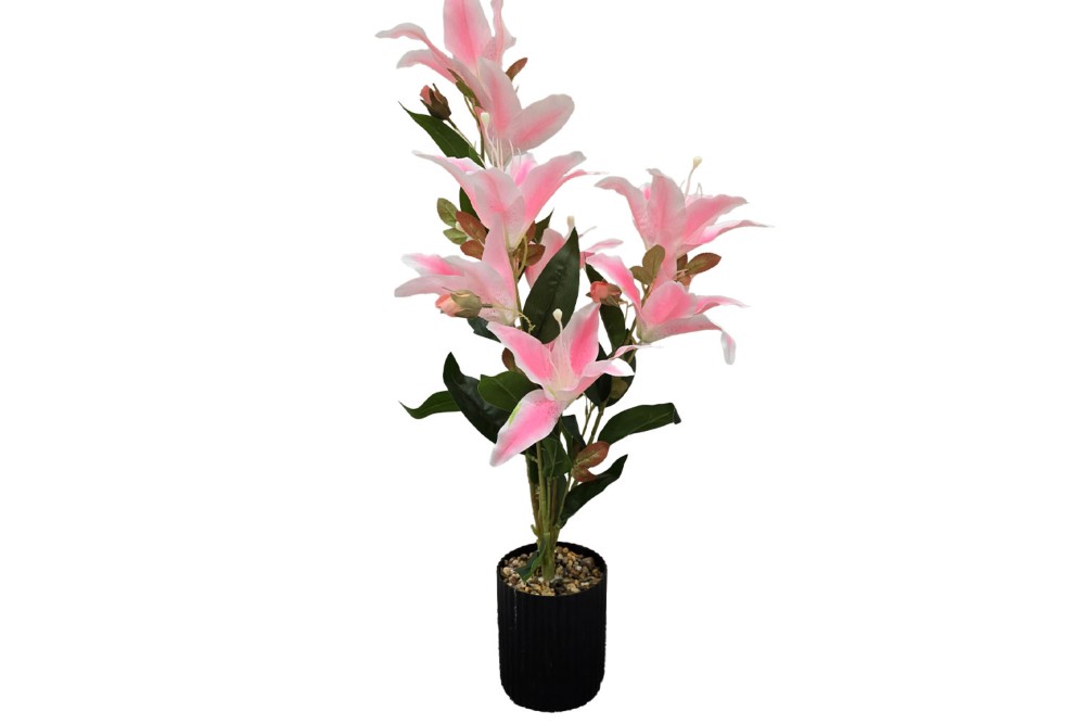 Γλαστράκι με λουλούδι Pink 74cm