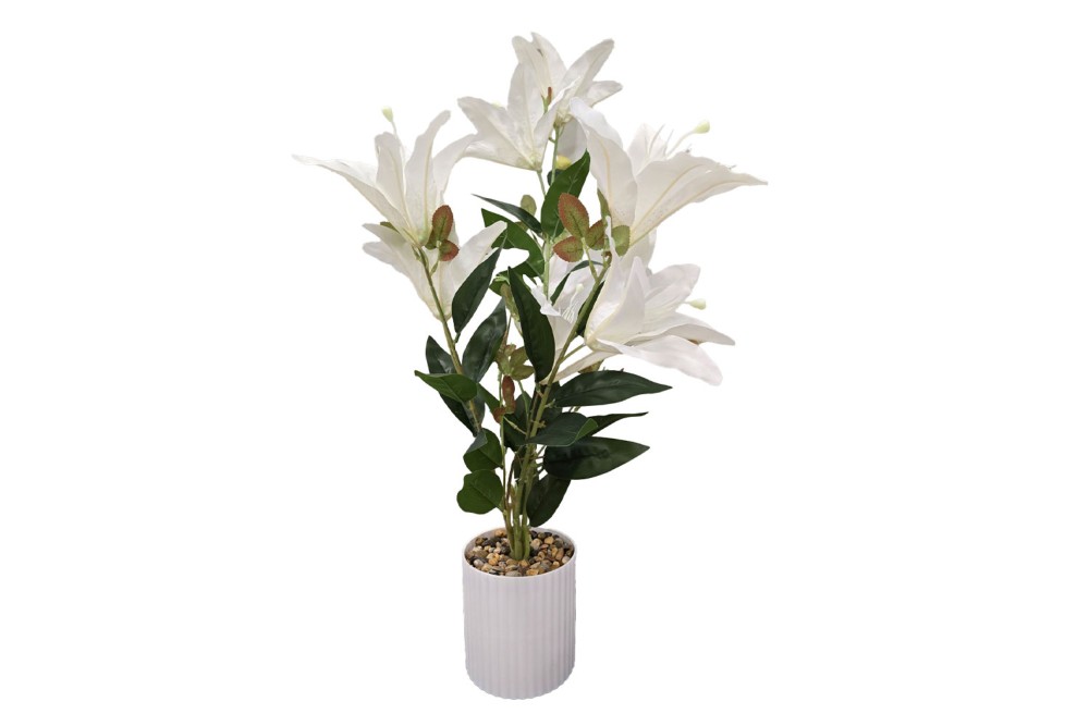 Γλαστράκι με λουλούδι White 74cm