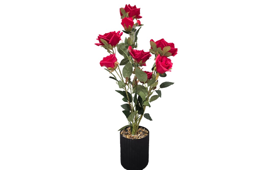 Γλαστράκι με λουλούδι Red 75cm