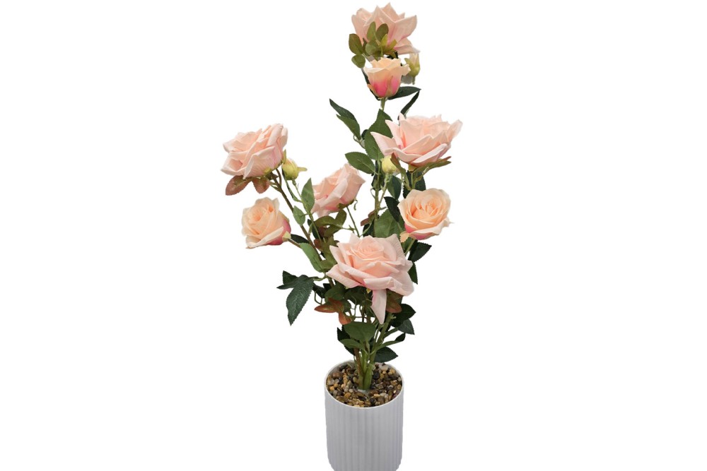 Γλαστράκι με λουλούδι Salmon 75cm