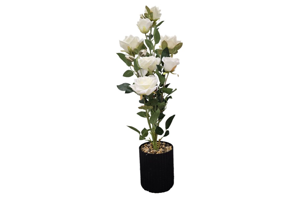 Γλαστράκι με λουλούδι White 75cm