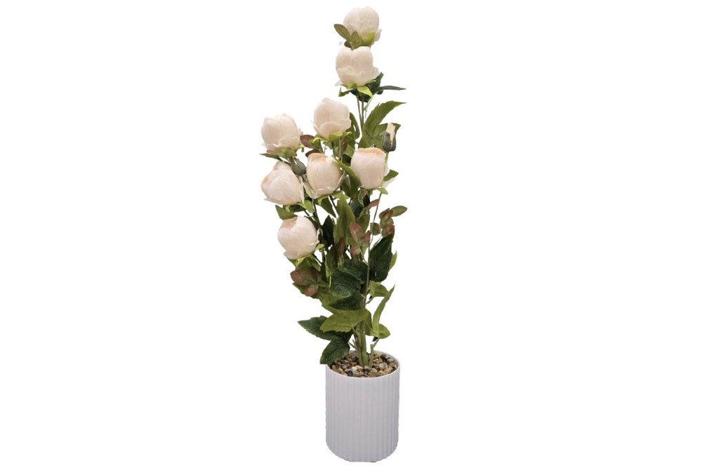 Γλαστράκι με λουλούδι Σαμπανί 64cm