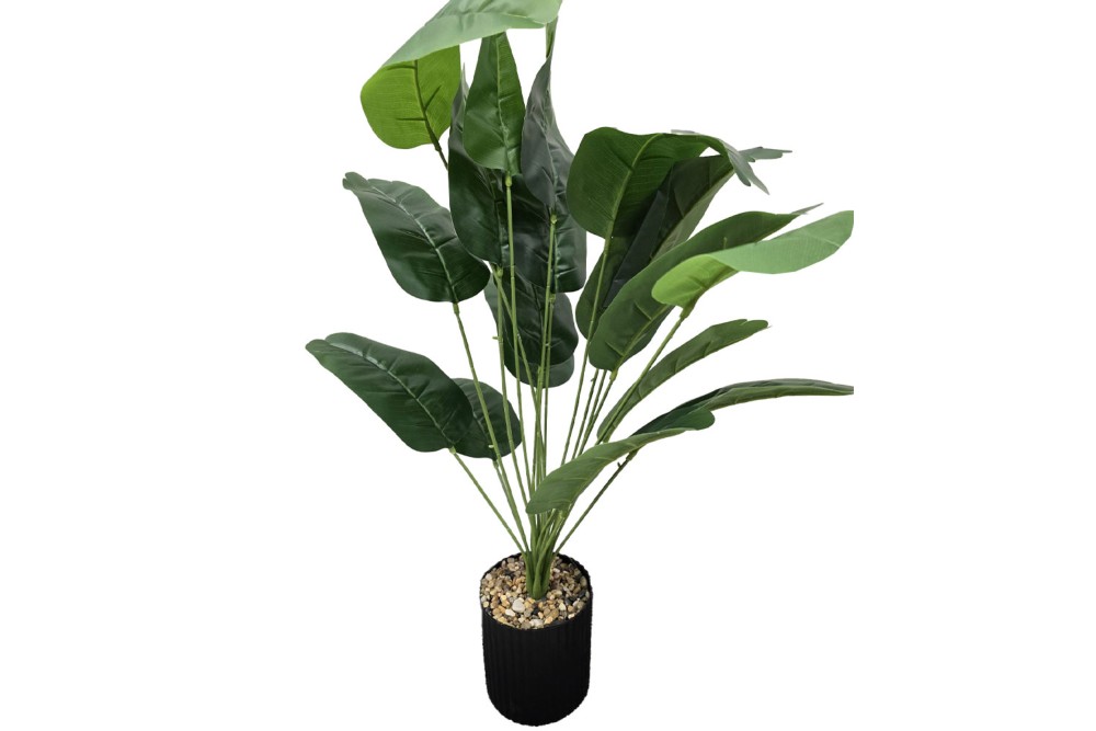 Γλαστράκι με φυτό Στρελίτσια 72cm