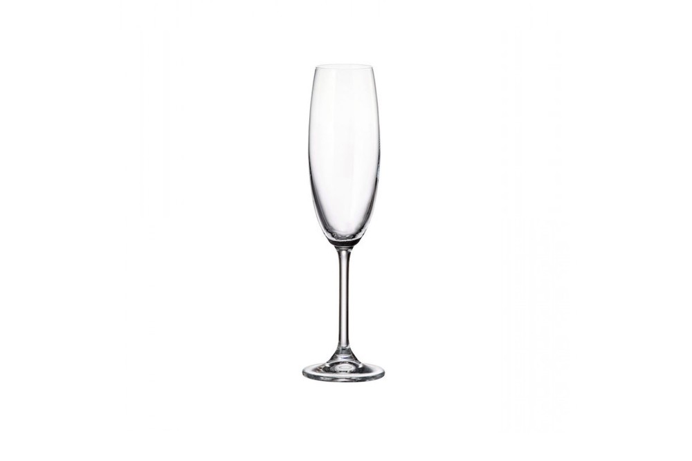 Ποτήρι Σαμπάνιας 220ml Colibri Σετ 6τμχ