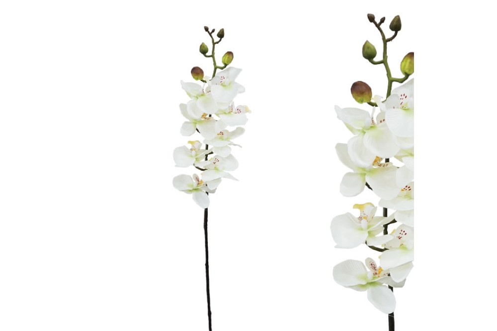 Marhome Τεχνητό Φυτό 76cm Marhome Τεχνητό Φυτό 76cm