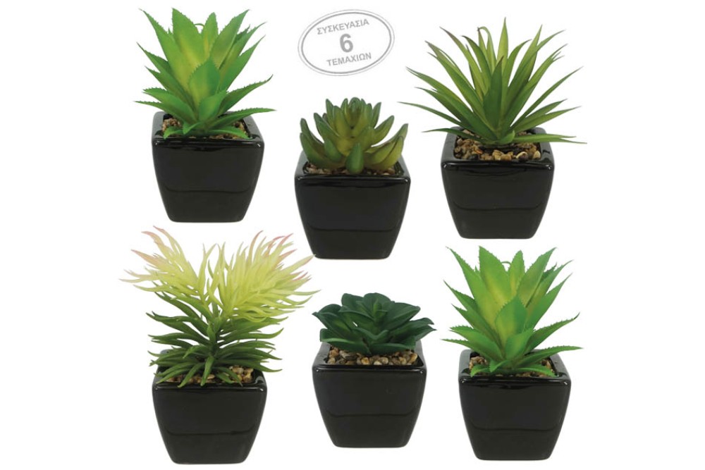 ΚΑΚΤΑΚΙΑ ΣΕ ΓΛΑΣΤΡΑΚΙ ΜΑΥΡΟ ΚΕΡΑΜΙΚΟ 6x6x17cm ΣΕΤ 6 τεμάχια