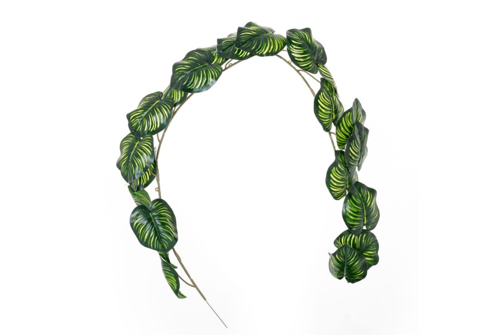 ΓΙΡΛΑΝΤΑ ΠΟΘΟΣ ΓΙΡΛΑΝΤΑ ΠΟΘΟΣ