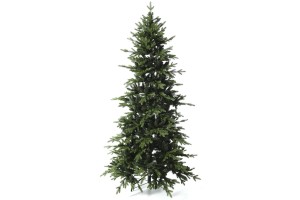 ΔΕΝΤΡΟ SLIM FIR 180ΕΚ