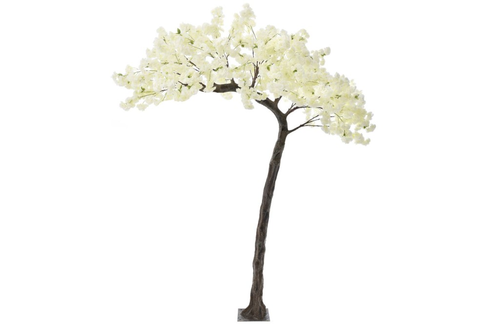 ΔΕΝΤΡΟ ΚΥΡΤΟ ΜΕ ΛΕΥΚΑ ΑΝΘΗ 300Χ200Χ320ΕΚ ΔΕΝΤΡΟ ΚΥΡΤΟ ΜΕ ΛΕΥΚΑ ΑΝΘΗ 300Χ200Χ320ΕΚ