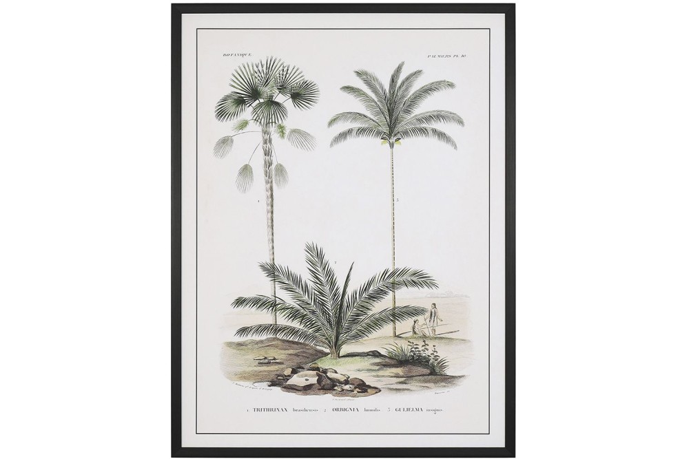 ΠΙΝΑΚΑΣ 60Χ80 ΕΚ ΡΕΤΡΟ ΘΕΜΑ ΜΕ ΦΟΙΝΙΚΕΣ, ΤΥΠΩΜΑ ΣΕ ΚΑΜΒΑ