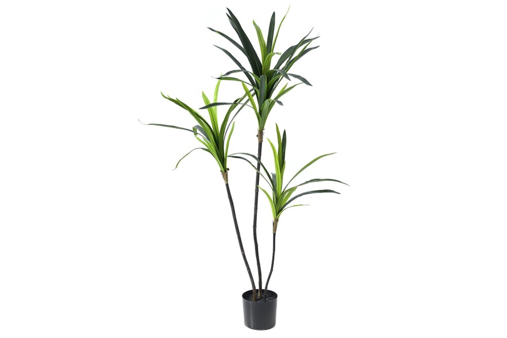 ΤΕΧΝΗΤΟ ΔΕΝΤΡΟ ΔΡΑΚΑΙΝΑ 150 ΕΚ ΣΕ ΜΑΥΡΗ ΠΛΑΣΤΙΚΗ ΓΛΑΣΤΡΑ