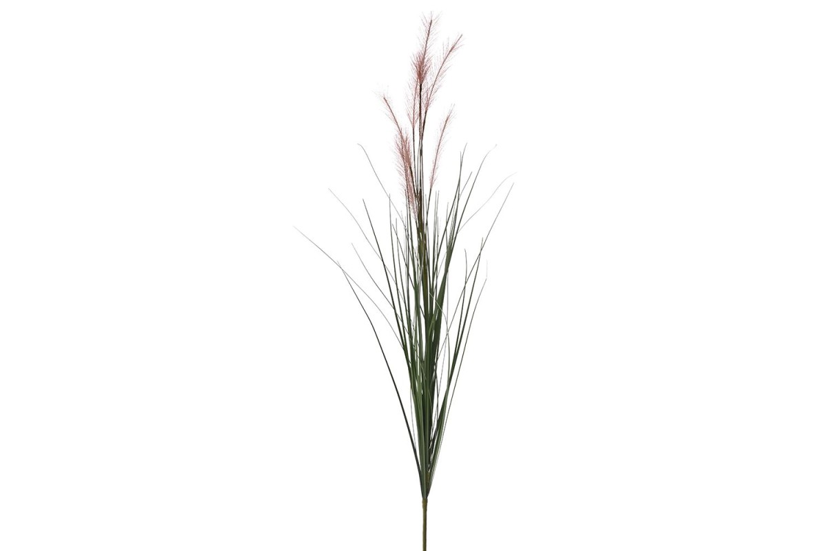 ΡΟΖ ΚΛΑΔΙ PAMPAS 70EK