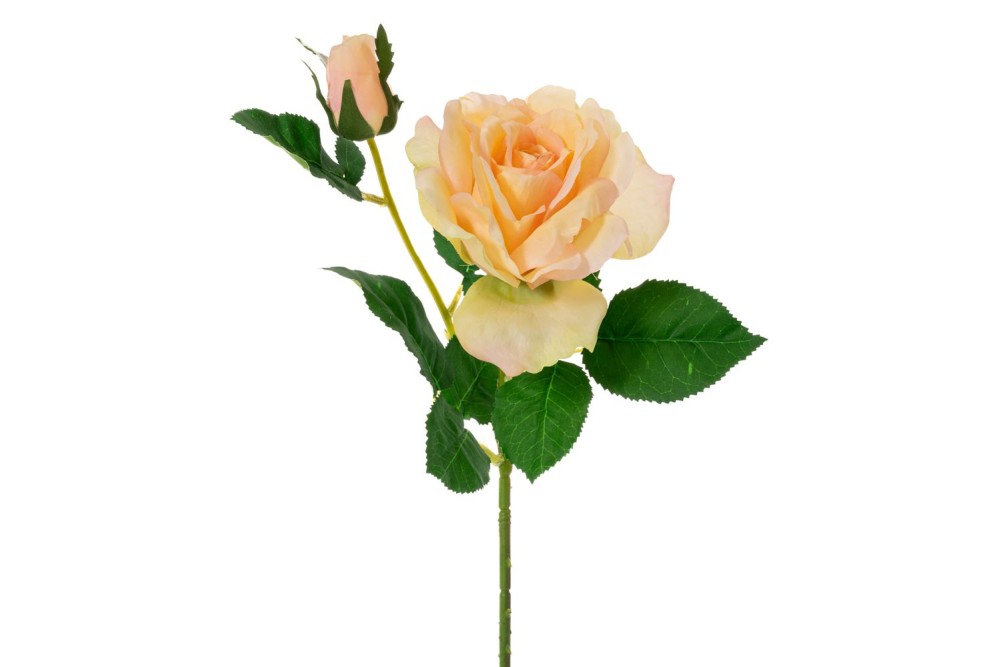 ΚΛΑΔΙ ΚΡΕΜ ΤΡΙΑΝΤΑΦΥΛΛΟ ΜΕ ΜΠΟΥΜΠΟΥΚΙ 67ΕΚ ΚΛΑΔΙ ΚΡΕΜ ΤΡΙΑΝΤΑΦΥΛΛΟ ΜΕ ΜΠΟΥΜΠΟΥΚΙ 67ΕΚ