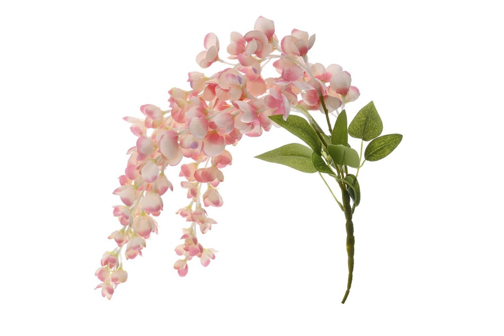 ΚΡΕΜΑΣΤΗ ΡΙΖΑ ΡΟΖ ΑΚΑΚΙΑ 60εκ ΚΡΕΜΑΣΤΗ ΡΙΖΑ ΡΟΖ ΑΚΑΚΙΑ 60εκ