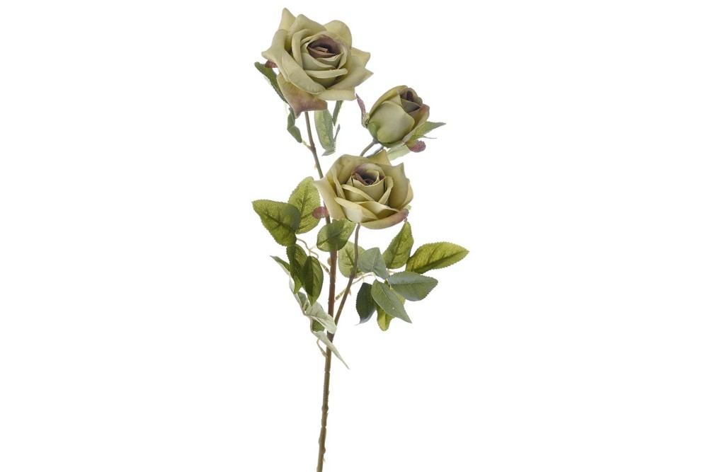 ΚΛΑΔΙ ΠΡΑΣΙΝΑ ΤΡΙΑΝΤΑΦΥΛΛΑ Χ3 86ΕΚ ΚΛΑΔΙ ΠΡΑΣΙΝΑ ΤΡΙΑΝΤΑΦΥΛΛΑ Χ3 86ΕΚ