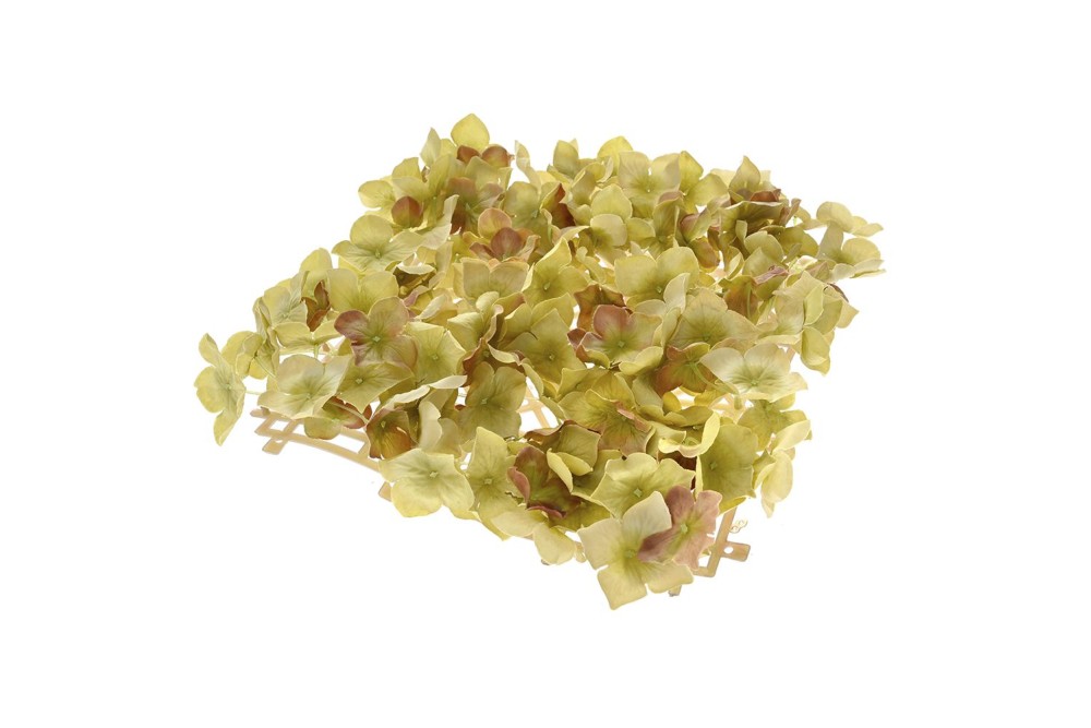 ΠΑΝΕΛ ΜΕ ΑΝΘΗ ΠΡΑΣΙΝΗΣ ΟΡΤΑΝΣΙΑΣ 27Χ27ΕΚ ΠΑΝΕΛ ΜΕ ΑΝΘΗ ΠΡΑΣΙΝΗΣ ΟΡΤΑΝΣΙΑΣ 27Χ27ΕΚ