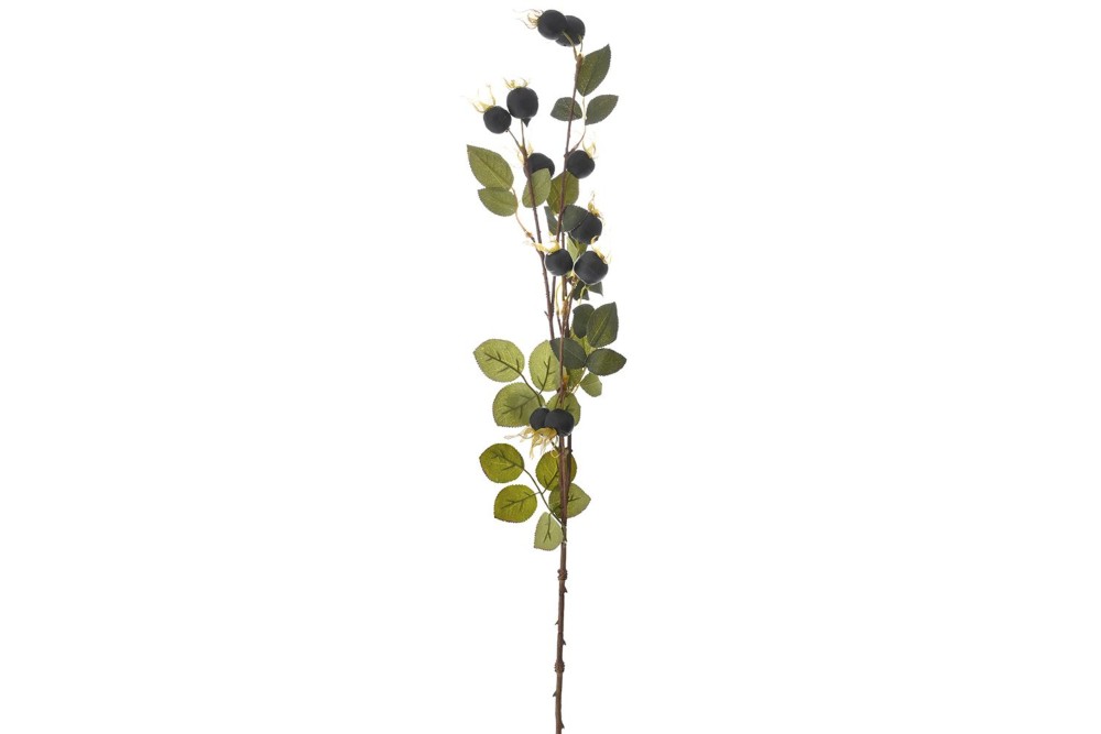 ΚΛΑΔΙ ΜΕ ΚΑΡΠΟΥΣ ΤΡΙΑΝΤΑΦΥΛΛΙΑΣ 82EK