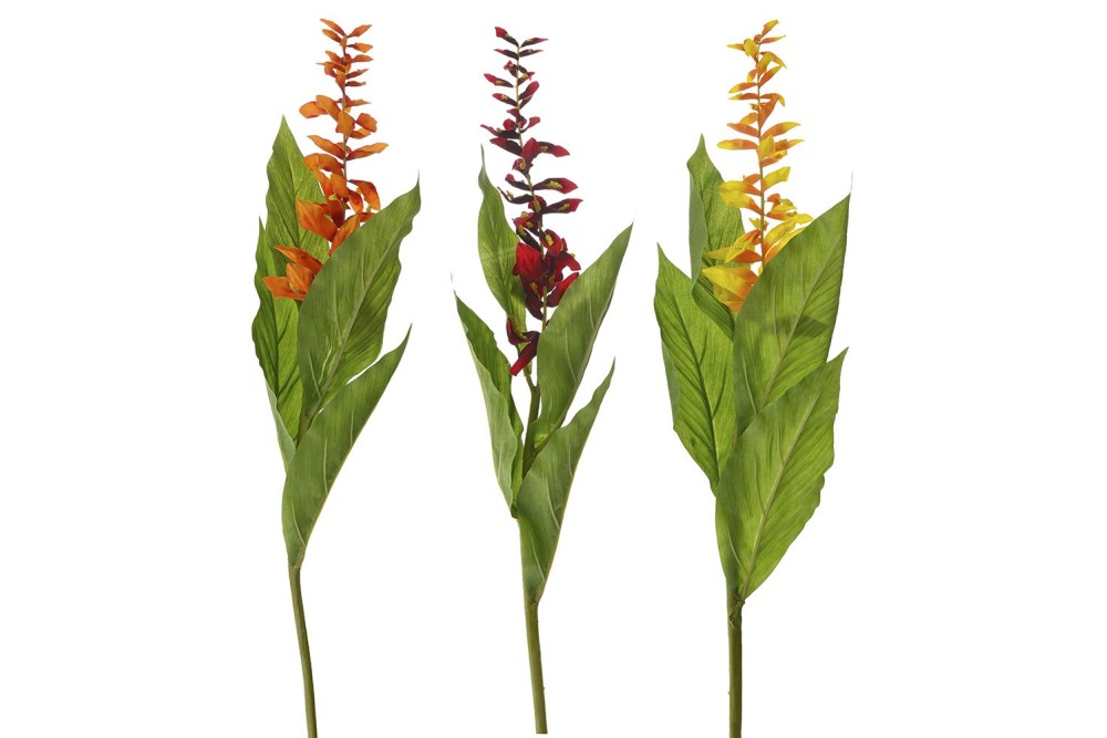 ΚΛΑΔΙ GLOBBA WINITTI 73ΕΚ