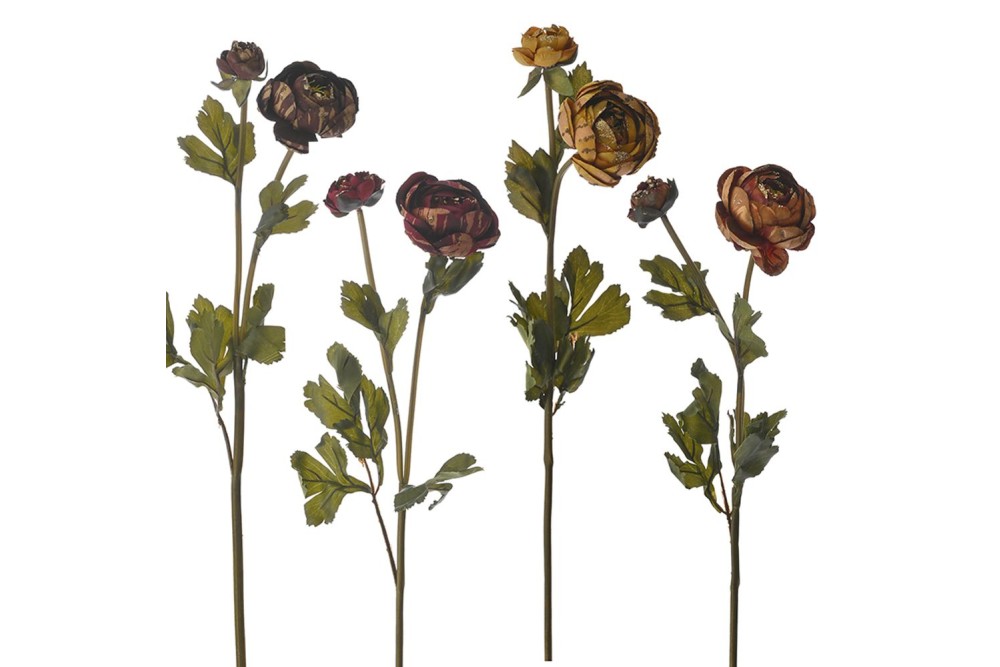 ΚΛΑΔΙ ΝΕΡΑΓΚΟΥΛΑ Χ2 63ΕΚ 4 ΧΡΩΜΑΤΑ