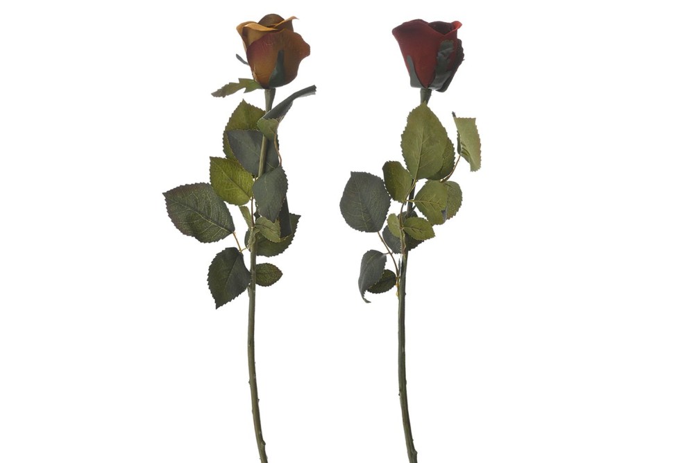 ΚΛΑΔΙ ΤΡΙΑΝΤΑΦΥΛΛΟ ΜΠΑΚΑΡΑΣ 71EK