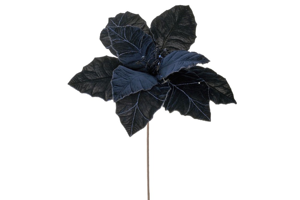 ΑΛΕΞΑΝΔΡΙΝΟ ΜΠΛΕ ΣΚΟΥΡΟ ΚΛΑΔΙ 39Χ60ΕΚ ΑΛΕΞΑΝΔΡΙΝΟ ΜΠΛΕ ΣΚΟΥΡΟ ΚΛΑΔΙ 39Χ60ΕΚ