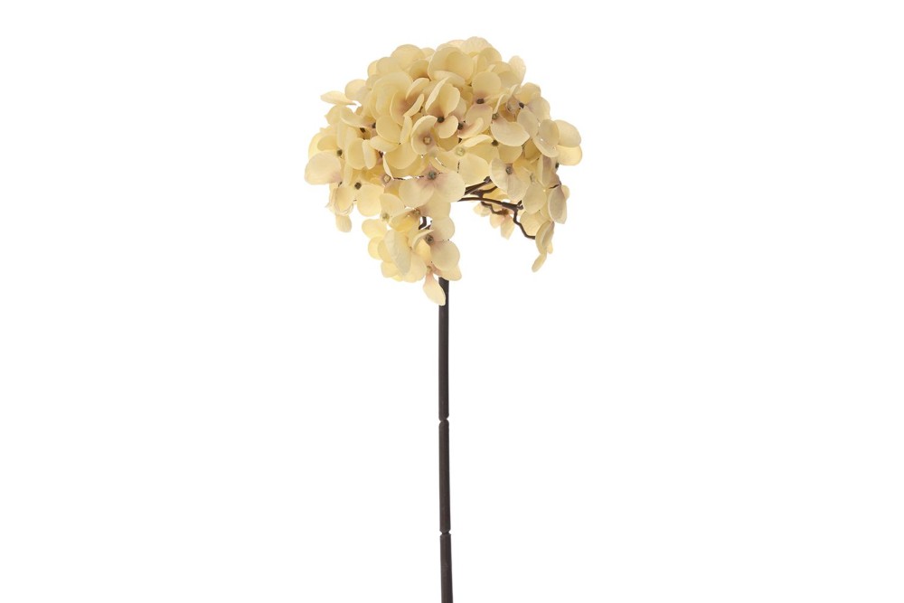 ΟΡΤΑΝΣΙΑ ΚΡΕΜ ΚΛΑΔΙ 54ΕΚ ΟΡΤΑΝΣΙΑ ΚΡΕΜ ΚΛΑΔΙ 54ΕΚ