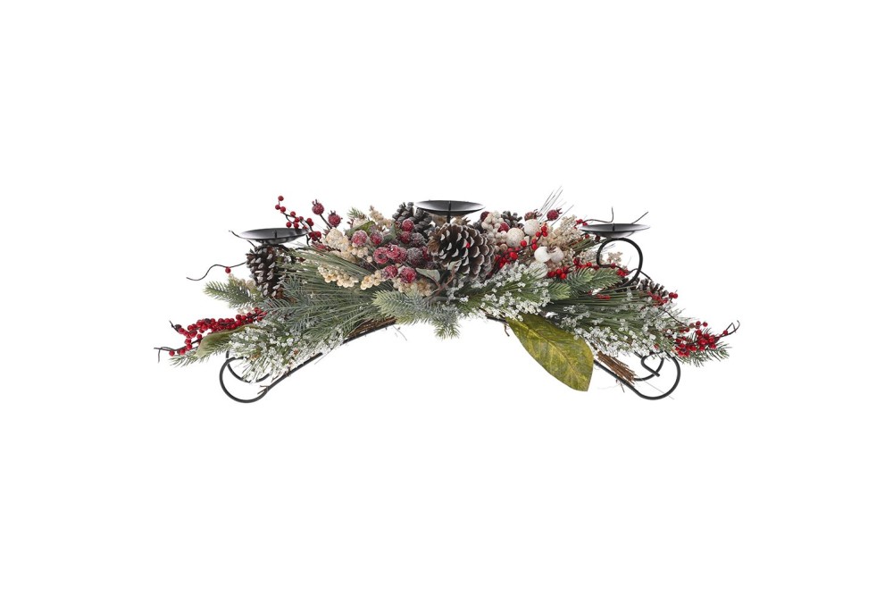 ΚΗΡΟΠΗΓΙΟ ΜΕ ΚΟΚΚΙΝΑ ΚΑΙ ΧΡΥΣΑ BERRIES 66ΕΚ