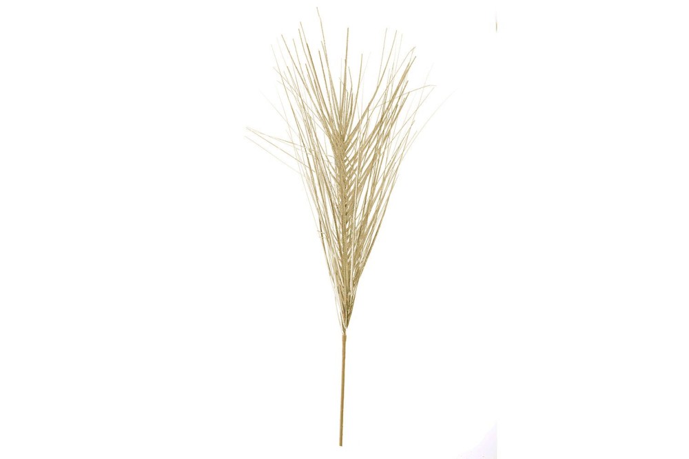 ΧΡΥΣΟ ΓΡΑΣΙΔΙ ΚΛΑΔΙ 70ΕΚ