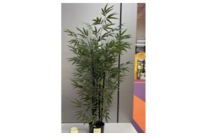 ΦΥΤΟ BAMBOO 150ΕΚ. Χ4 ΣΕ ΜΑΥΡΗ ΠΛΑΣΤΙΚΗ ΓΛΑΣΤΡΑ