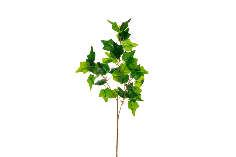 ΚΛΑΔΙ ΚΙΣΣΟΣ 90ΕΚ