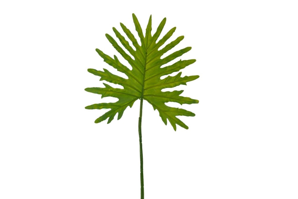 ΠΡΑΣΙΝΟ ΦΥΛΛΟ 70ΕΚ ΦΥΛΛΟΔΕΝΤΡΟ