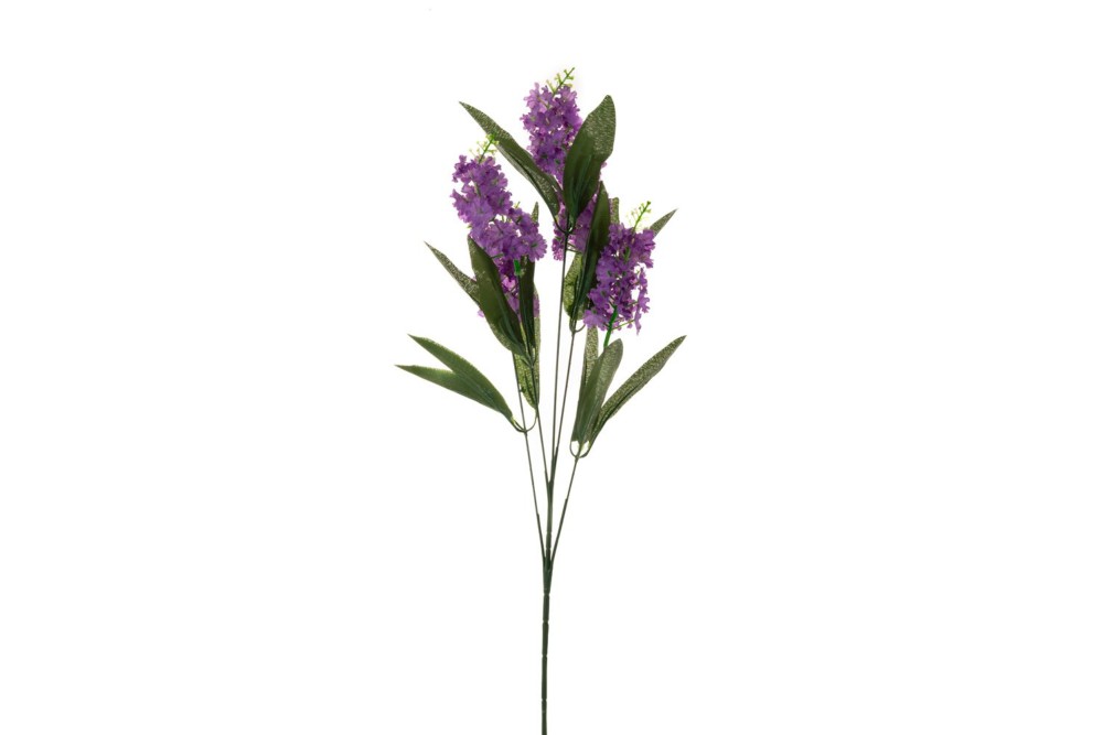 ΚΛΑΔΙ Χ5 ΜΕ ΛΕΒΑΝΤΕΣ 60ΕΚ ΚΛΑΔΙ Χ5 ΜΕ ΛΕΒΑΝΤΕΣ 60ΕΚ