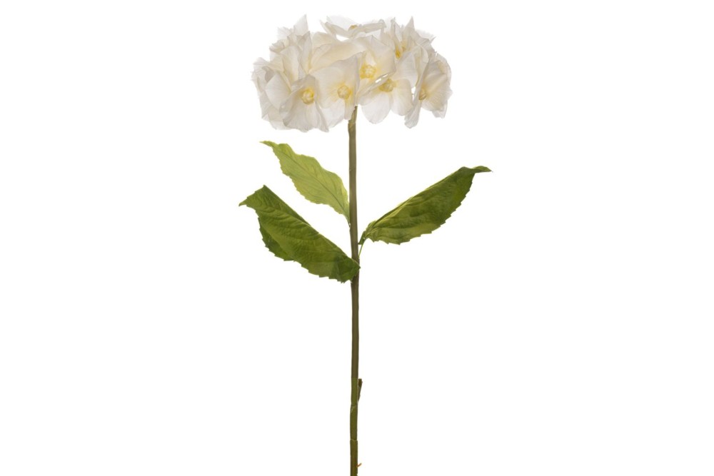 ΓΙΓΑΣ ΚΡΕΜ ΟΡΤΑΝΣΙΑ 110ΕΚ Φ38ΕΚ ΚΛΑΔΙ ΓΙΓΑΣ ΚΡΕΜ ΟΡΤΑΝΣΙΑ 110ΕΚ Φ38ΕΚ ΚΛΑΔΙ