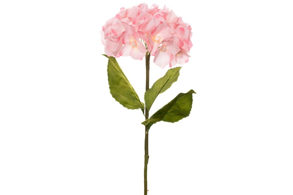 ΓΙΓΑΣ ΡΟΖ ΟΡΤΑΝΣΙΑ 110ΕΚ Φ38ΕΚ ΚΛΑΔΙ ΓΙΓΑΣ ΡΟΖ ΟΡΤΑΝΣΙΑ 110ΕΚ Φ38ΕΚ ΚΛΑΔΙ