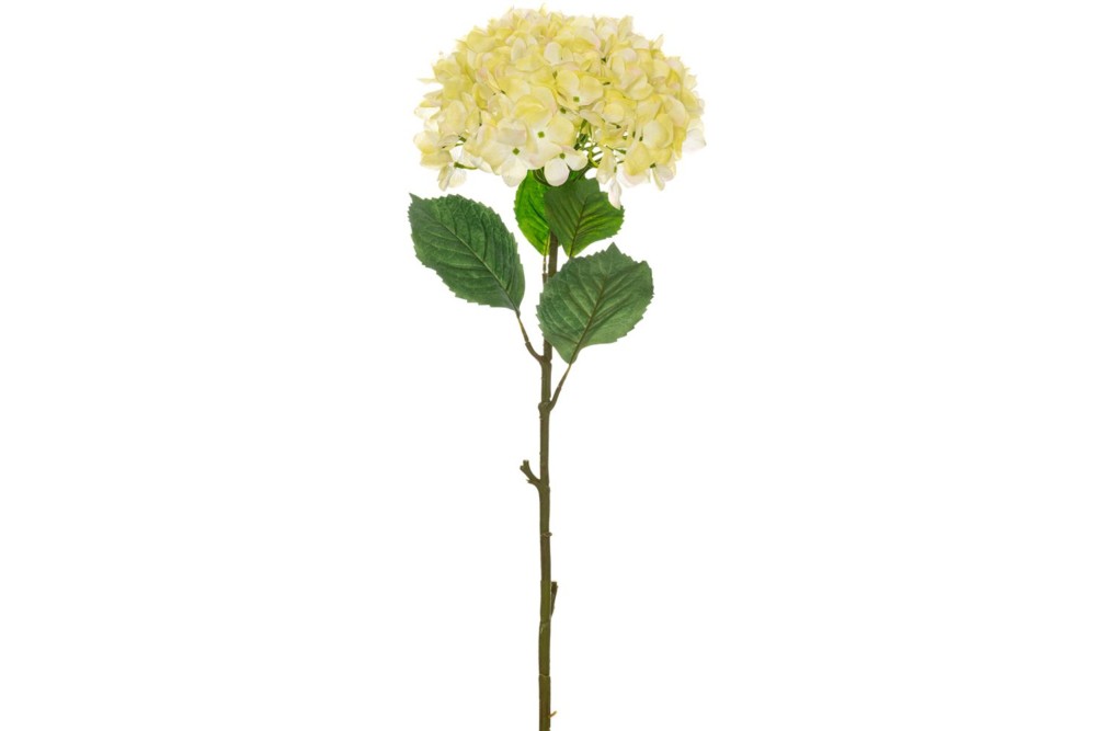 ΜΕΓΑΛΗ ΠΡΑΣΙΝΗ ΟΡΤΑΝΣΙΑ 110ΕΚ Φ30ΕΚ ΚΛΑΔΙ ΜΕΓΑΛΗ ΠΡΑΣΙΝΗ ΟΡΤΑΝΣΙΑ 110ΕΚ Φ30ΕΚ ΚΛΑΔΙ