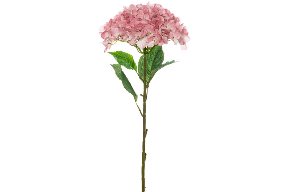 ΜΕΓΑΛΗ ΡΟΖ ΟΡΤΑΝΣΙΑ 110ΕΚ Φ30ΕΚ ΜΕΓΑΛΗ ΡΟΖ ΟΡΤΑΝΣΙΑ 110ΕΚ Φ30ΕΚ