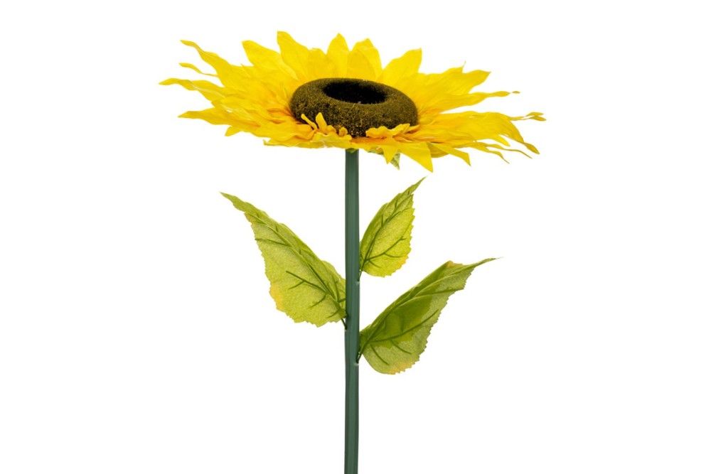 ΓΙΓΑΣ ΗΛΙΑΝΘΟΣ 115ΕΚ Φ50ΕΚ ΚΛΑΔΙ ΓΙΓΑΣ ΗΛΙΑΝΘΟΣ 115ΕΚ Φ50ΕΚ ΚΛΑΔΙ