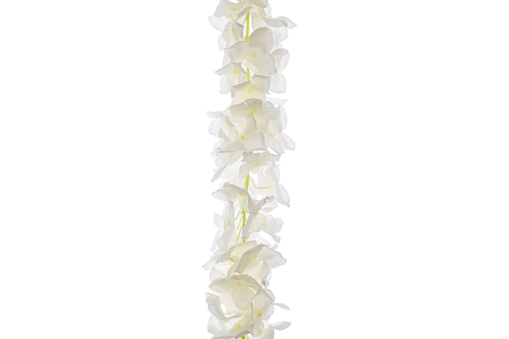 ΓΙΡΛΑΝΤΑ ΛΕΥΚΗ ΟΡΤΣΑΝΣΙΑ 120ΕΚ ΓΙΡΛΑΝΤΑ ΛΕΥΚΗ ΟΡΤΣΑΝΣΙΑ 120ΕΚ