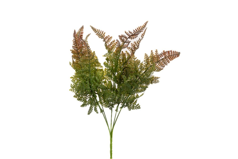 ΡΙΖΑ ΜΕ ΦΤΕΡΕΣ X5 36EK