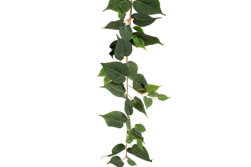 ΓΙΡΛΑΝΤΑ ΠΟΘΟΣ COATED 180ΕΚ ΓΙΡΛΑΝΤΑ ΠΟΘΟΣ COATED 180ΕΚ