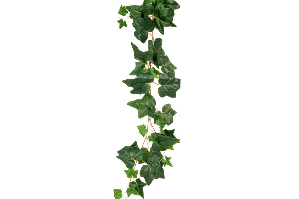 ΓΙΡΛΑΝΤΑ ΠΡΑΣΙΝΟΣ ΚΙΣΣΟΣ 180ΕΚ ΓΙΡΛΑΝΤΑ ΠΡΑΣΙΝΟΣ ΚΙΣΣΟΣ 180ΕΚ