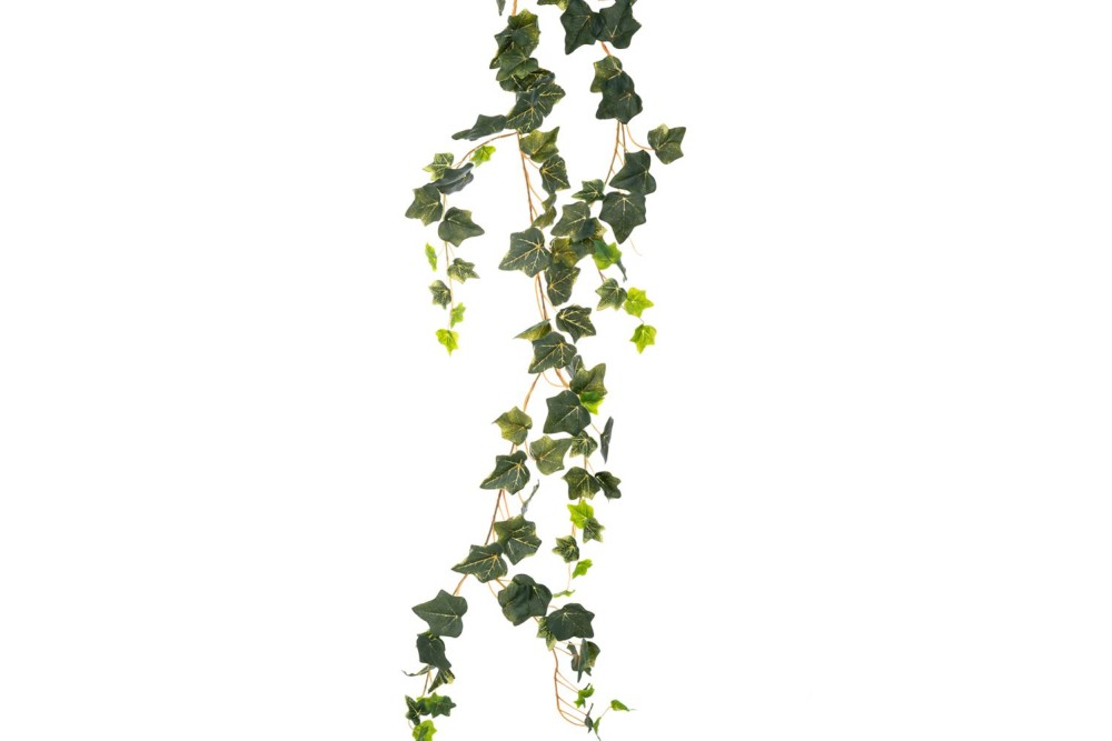 ΓΙΡΛΑΝΤΑ ΚΙΣΣΟΣ COATED 2ΜΕΤΡΑ ΜΕ ΠΑΡΑΚΛΑΔΙΑ ΓΙΡΛΑΝΤΑ ΚΙΣΣΟΣ COATED 2ΜΕΤΡΑ ΜΕ ΠΑΡΑΚΛΑΔΙΑ