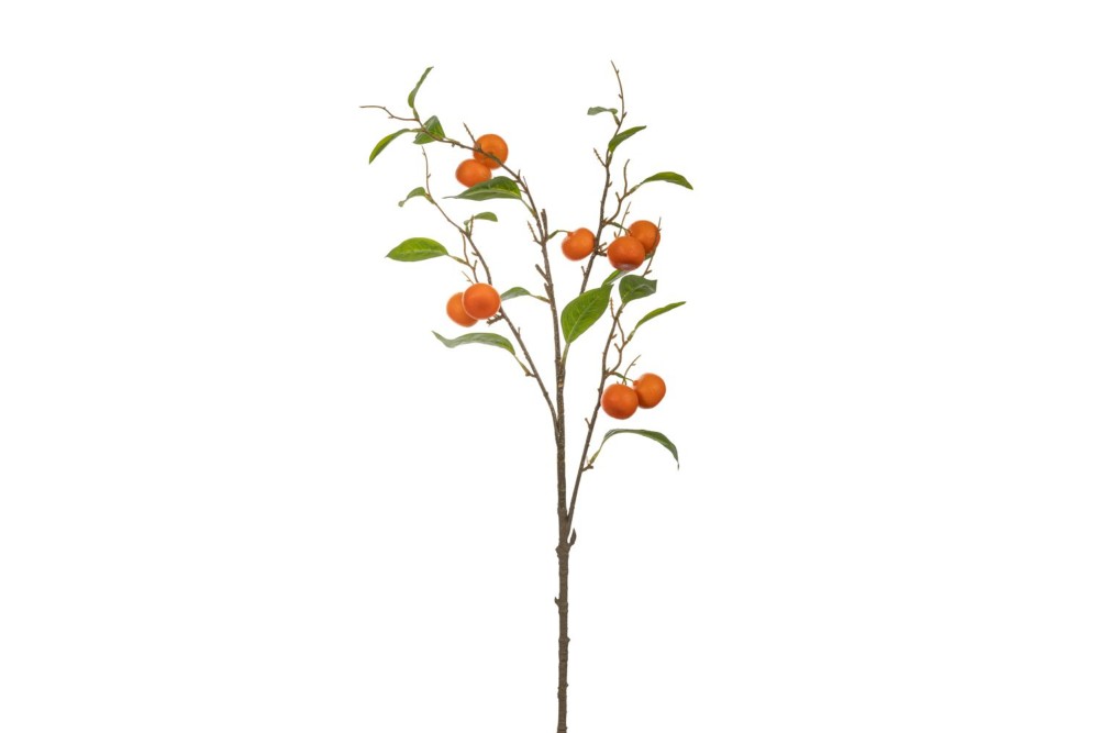 ΠΟΡΤΟΚΑΛΙ ΚΛΑΔΙ 25Χ92ΕΚ ΠΟΡΤΟΚΑΛΙ ΚΛΑΔΙ 25Χ92ΕΚ