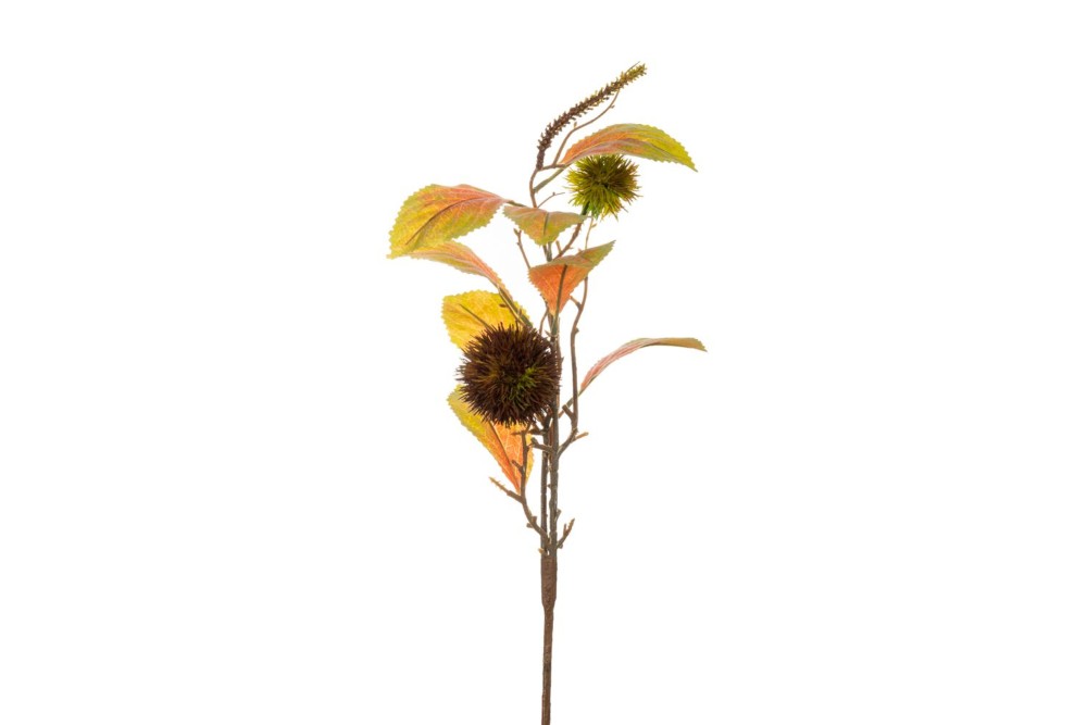 ΚΑΣΤΑΝΟ ΚΛΑΔΙ 15Χ50ΕΚ ΚΑΣΤΑΝΟ ΚΛΑΔΙ 15Χ50ΕΚ