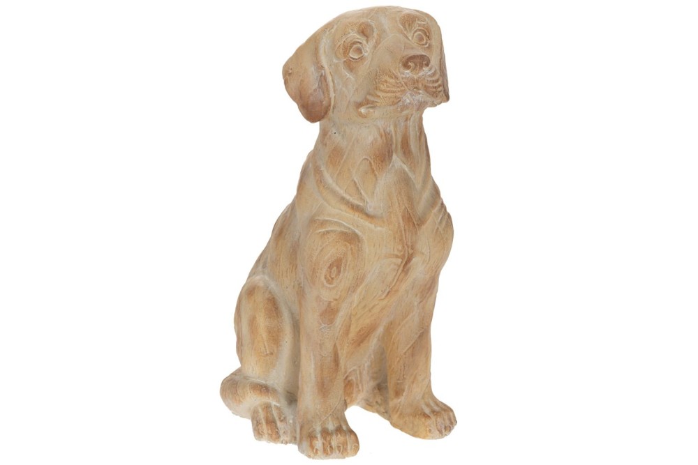 ΔΙΑΚΟΣΜΗΤΙΚΟΣ ΣΚΥΛΟΣ ΑΠΌ ΠΟΛΥΡΕΖΙΝΗ 35X21X47EK