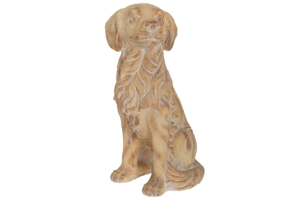 ΔΙΑΚΟΣΜΗΤΙΚΟΣ ΣΚΥΛΟΣ ΑΠΌ ΠΟΛΥΡΕΖΙΝΗ 30Χ42Χ70ΕΚ