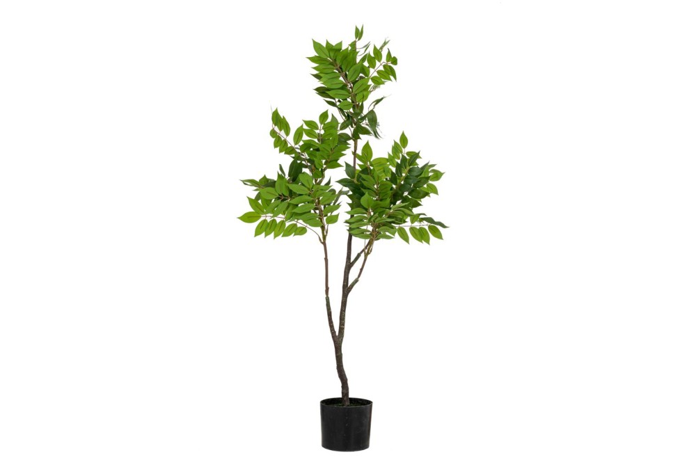 REAL TOUCH ΦΥΤΟ ΑΚΑΚΙΑ 120ΕΚ ΣΕ ΠΛΑΣΤΙΚΗ ΓΛΑΣΤΡΑ Φ15Χ12.5ΕΚ